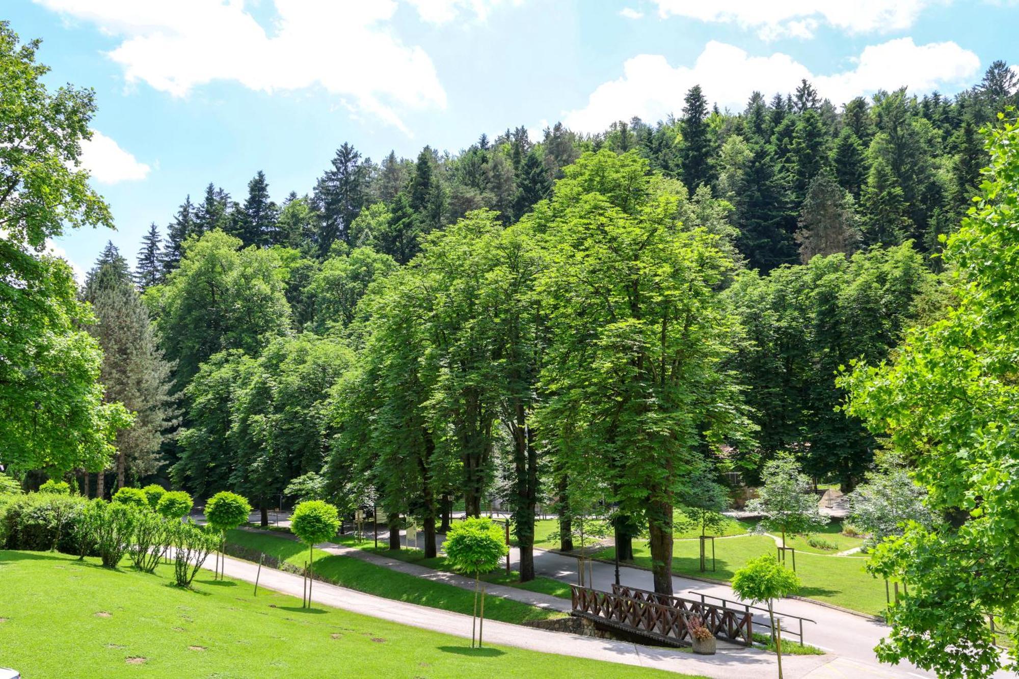 Depandance Vila Higiea - Terme Добрна Екстер'єр фото